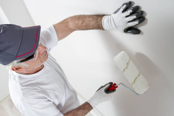 Reliable Smith Valley, NV Mold Removal Solutions