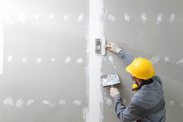 Best Emergency Mold Remediation  in Smith Valley, NV