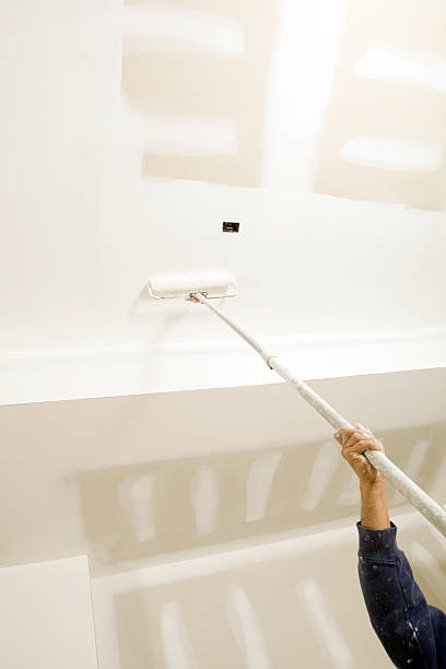Best Mold Odor Removal Services  in Smith Valley, NV
