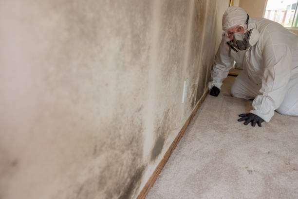 Mold Remediation for Rental Properties in Smith Valley, NV