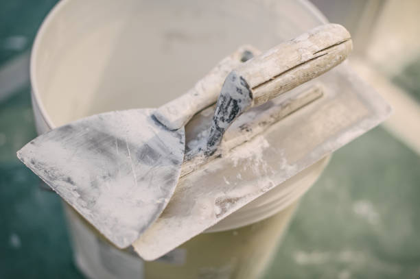 Best Environmental Consulting for Mold Prevention  in Smith Valley, NV